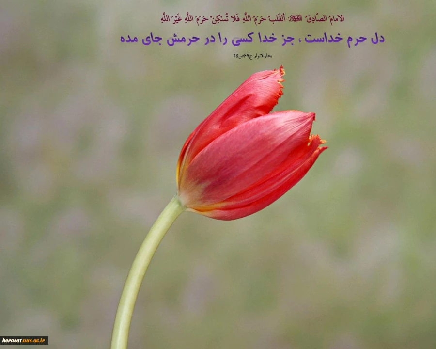 حدیث در قالب تصویری