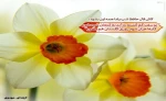 آغاز امامت حضرت صاحب الزمان