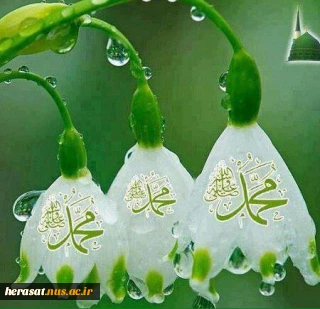 میلاد پیامبر مهر و رحمت ختم المرسلین، رحمةللعالمین حضرت محمد مصطفی صلىالله علیه و آله و سلم بر عموم مسلمین تبریک و تهنیت باد