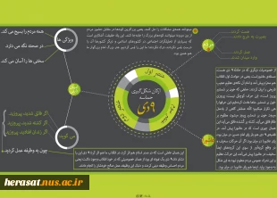 ارکان شکل گیری حماسه 9دی