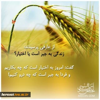 زندگی به جبر است یا اختیار؟