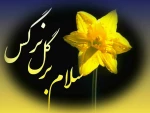 سلام بر گل نرگس