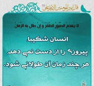 دیدگاه