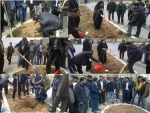 روز درختکاری  3