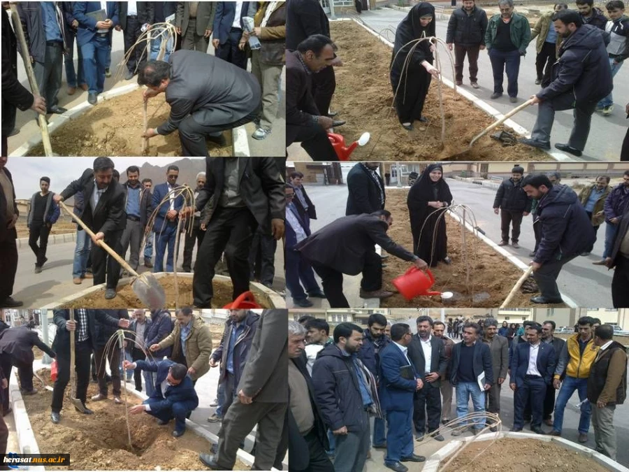 روز درختکاری  3