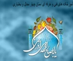 یا ابا صالح المهدی ادرکنی  5