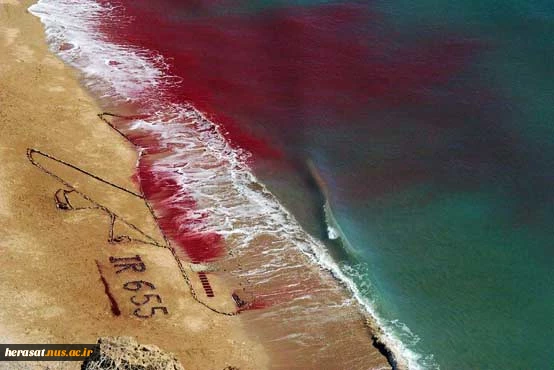 حمله وحشیانه ناو آمریکایی به هواپیمای مسافربری ایران در خلیج فارس 2