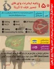 نحوه استفاده از اینترنت در راهپیمایی اربعین 2
