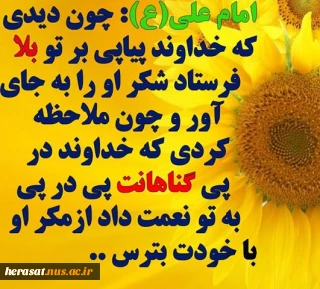 امام علی علیه السلام