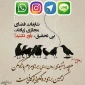  امیرالمومنین امام علی علیه السلام: