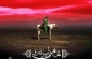 عظم الله اجورنا واجورکم