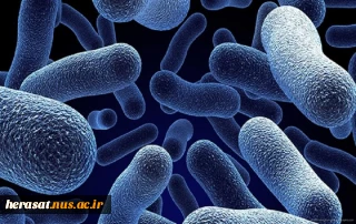 یک باکتری؛ کوچک‌ترین ضبط کننده داده