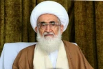 آیت الله نوری همدانی: بومی‌سازی فضای مجازی ضروری است/ تلاش مسئولان برای خدمت به مردم