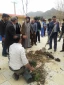 روز درختکاری برهمگان مبارک