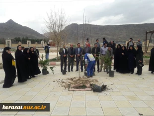 روز درختکاری 5