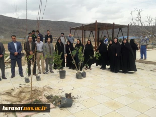 روز درختکاری 6