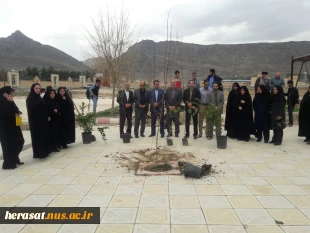 روز درختکاری 10