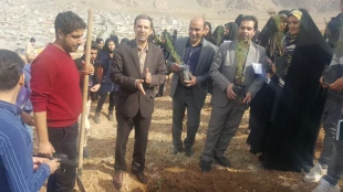 روز درختکاری 11