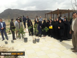 روز درختکاری 12