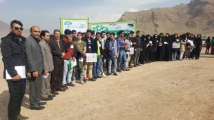 روز درختکاری 13