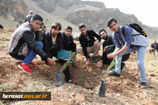 روز درختکاری 8