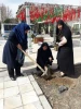 کاشت نهال  توسط مسئول حراست آموزشکده دختران کرج به مناسبت روز درختکاری