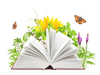 مسابقه  کتاب خوانی اشک رازدار